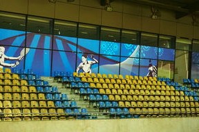 澳大利亚队未来如何利用青训体系打造新一代乒乓巨星，澳大利亚乒乓球