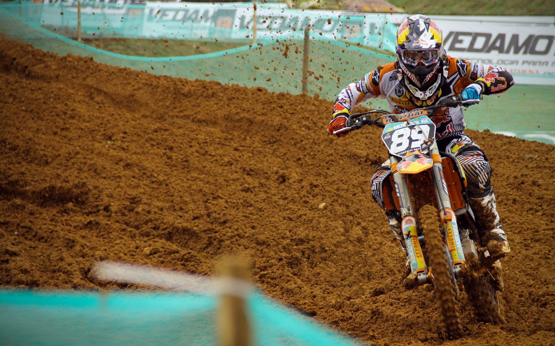 “萨尔·巴赫：南非的年轻希望”