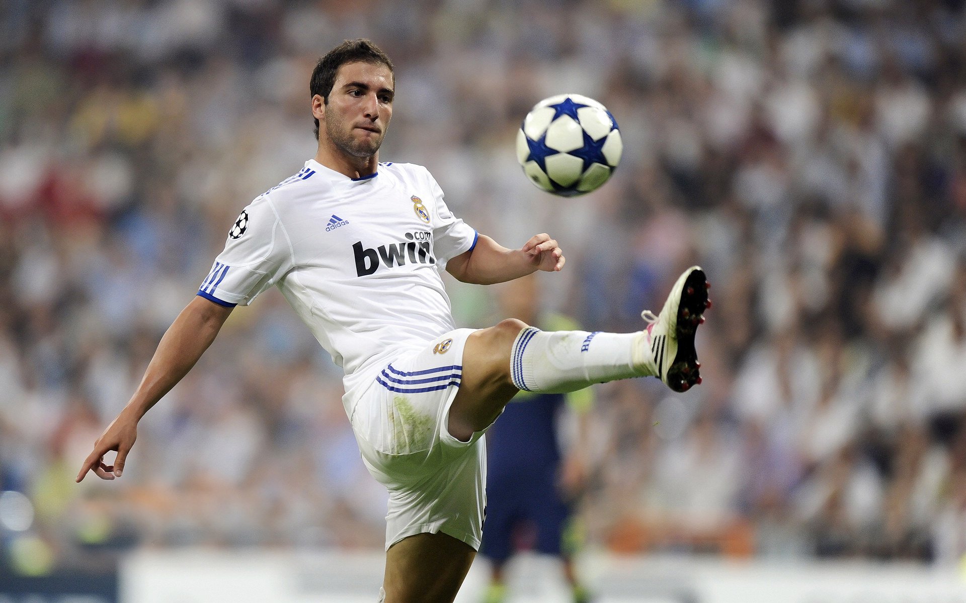 南非羚羊队：他们的“死守反击”战术让对手难以破局