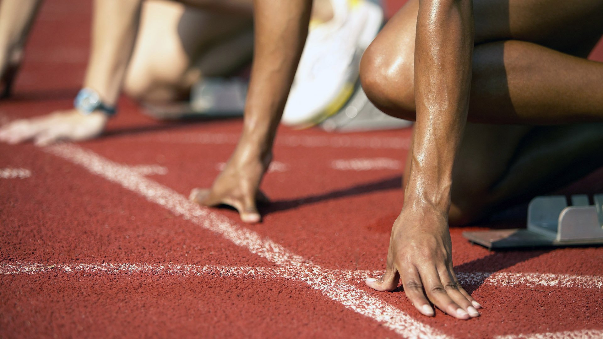 跳水技术全面中立代表队A稳步前进，中国跳水队目标